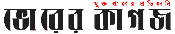 bhorerkagoj_logo